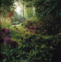 Clive Nichols, The Art of Flower & Garden