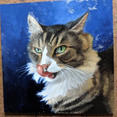 “Wicked” 6x6" oil on panel . #petportrait #catpainting #catart #catsofinstagram #ca