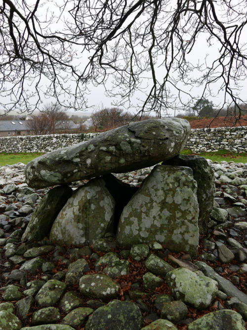 Dyffryn Ardudwy Neolithic Burial Chambers, near Barmouth, North Wales, 20.1.18.Two Neolithic chamber