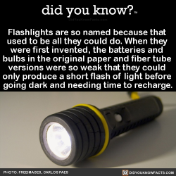 did-you-kno:  Flashlights are so named because