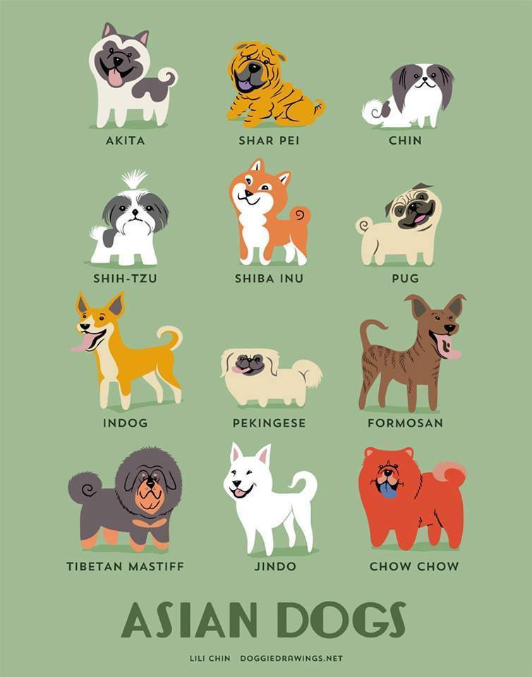 exhibitionistatheart:  50fuckingandlovingit:  bethsimon:  Dogs Of The World!!  💋