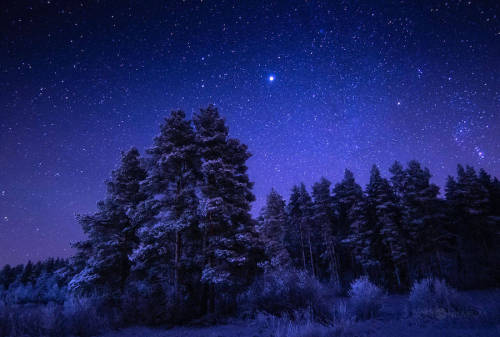 landscape-photo-graphy:  Magical Starry Night Photography By Joni Niemelä  Joni Niemelä is an expert photographer with a passion for capturing incredible images of the sky. His photography focuses on his motherland, Finland, his prime inspiration.