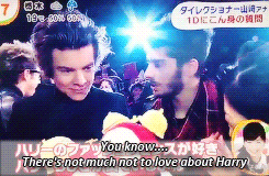 :  Endless List of Favorite Zarry Moments: Zayn & Harry compliments on each other’s physical features. 