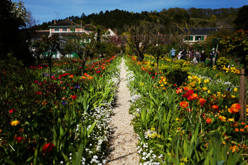 myend-ismybeginning:   Giverny & Monet’s Gardens  
