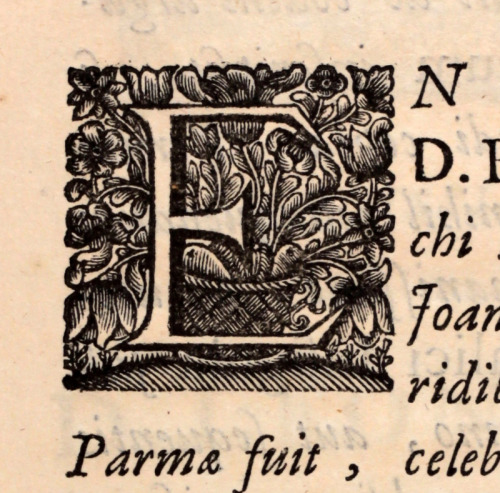 Beautiful detailed initial letter 1691