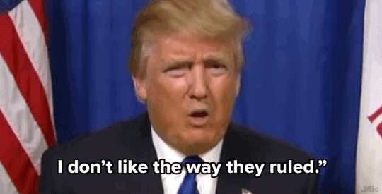 micdotcom:  micdotcom:  micdotcom:  A running list of all the people Donald Trump has offended while running for President: Women Mexican people Black people Iowans New Jerseyans Jewish people People with disabilities Refugees fleeing the Islamic State