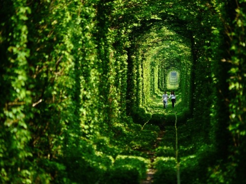 immanewthang:  This is the Tunnel of Love in Ukraine. Top 33 Most Beautiful Abandoned Place  