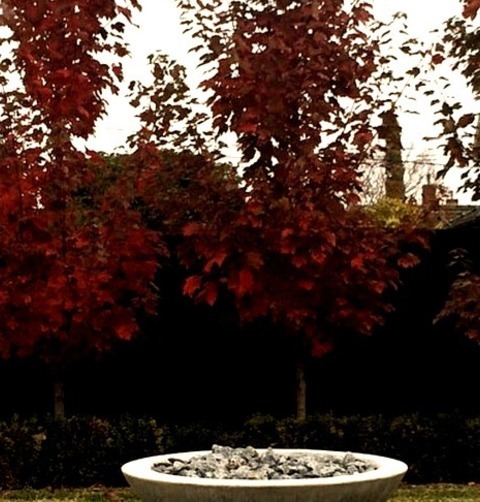 Traditional LandscapePicture Of A Sizable, Formal, Stone Front Yard In The Fall With Partial Sun.