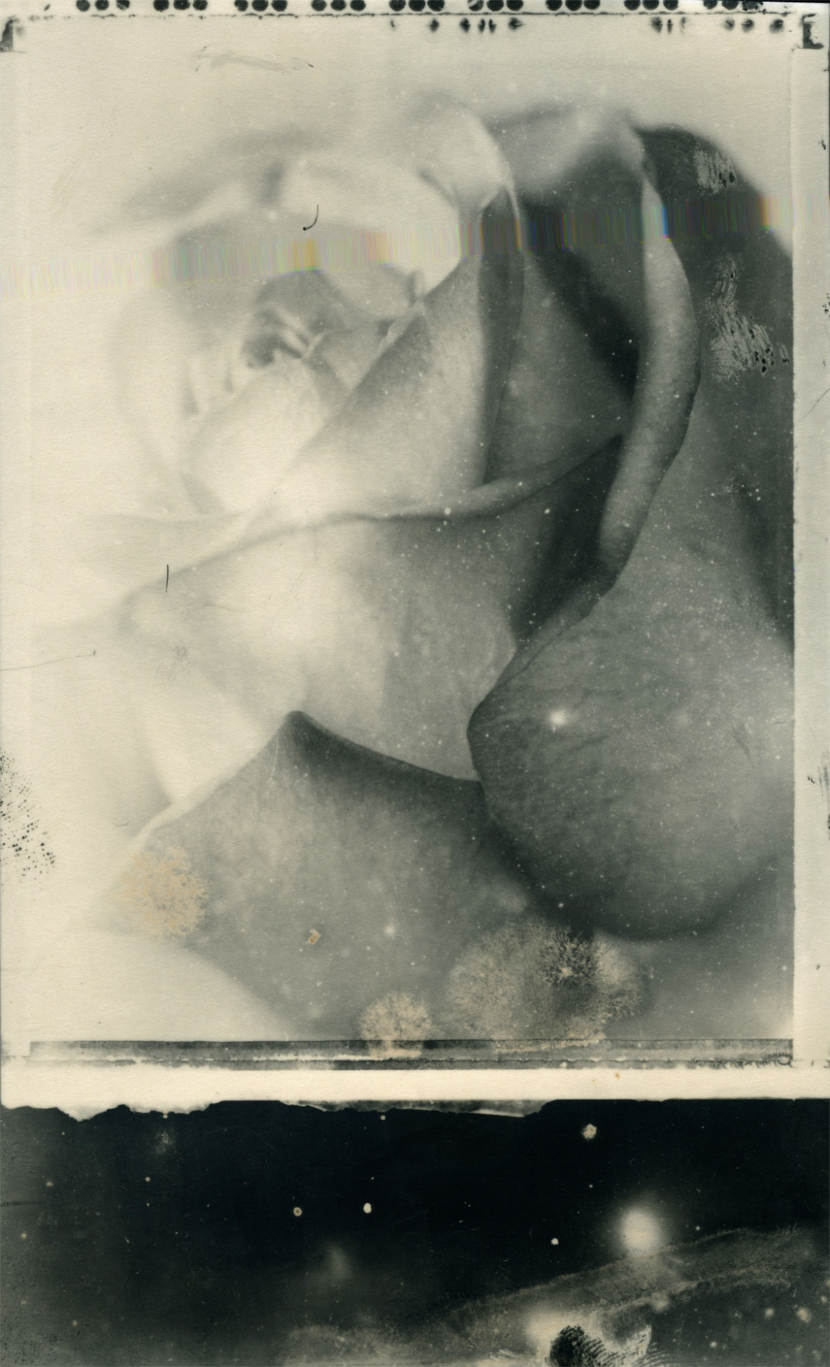 brandnew (tainted beauty)
did some contact prints in the darkroom today.
polaroid 55, printed on old kentmere photographic paper
(with some scanner glitches)
