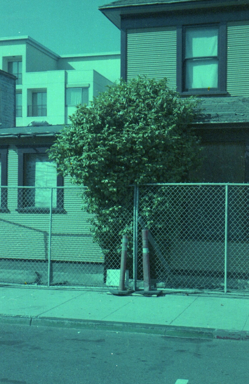 jewist:  Tyler Sueda