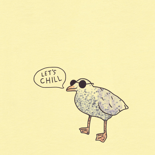 gangsterdoodles:#chillseagull