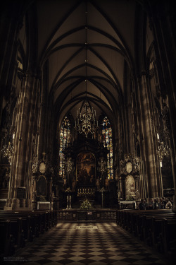 Frogmanslightschool:  Stephanskirche Stephanskirche In Vienna Is Beautiful, And (Somehow)