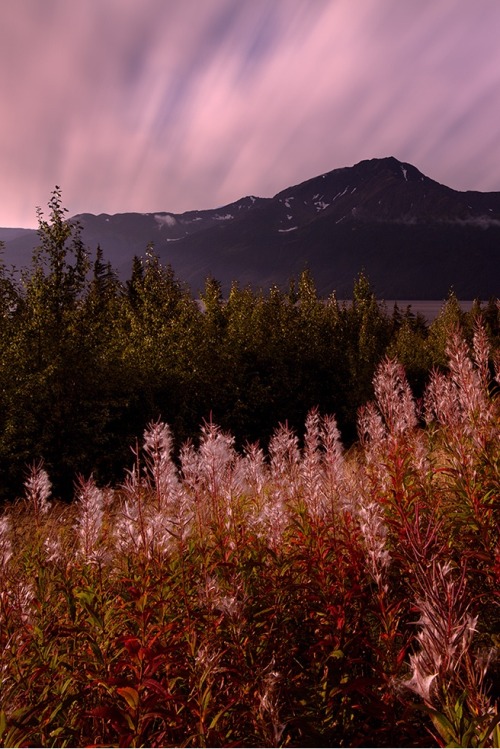 sundxwn:Turnagain Arm - Bird Pointby Henrik Anker Bjerregaard  Lundh III