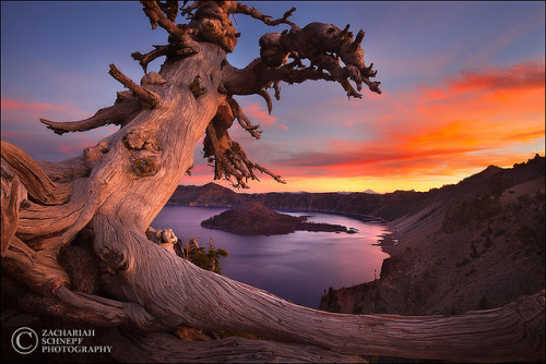 Crater Lake Sunset by Zack Schnepf on Flickr.