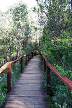 sublim-ature:  Darling Range, Western AustraliaMax Slender