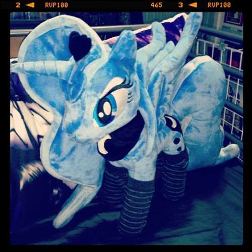 Luna sock perfect pony! <3 My luna plush just arrived today and she is so lovely!!! /me melting