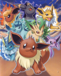 pokescans:  Eeveelution mini binder. 