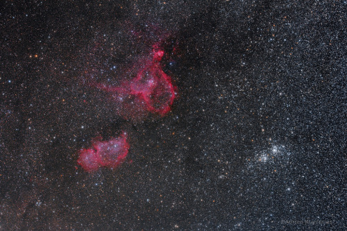 IC 1805 & IC 1848 // Heart & Soul Nebulae (left)andNGC 869 & NGC 884 // h & Chi Pers