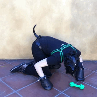 puppykato:  I 💚 my squeaky  