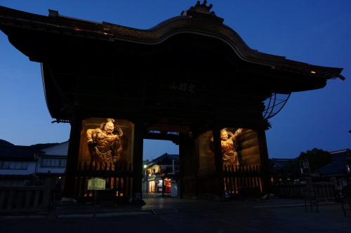 戸隠神社、奥社は雪深く行けませんでした…。美味しいお蕎麦食べて日光浴。2020.3