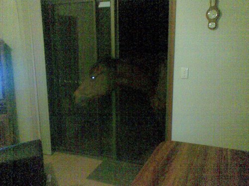 t0xemia:  he’s here 