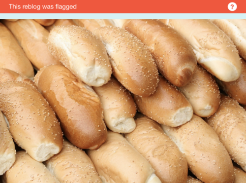 poupon: kylogram: colinquinn: @staff u pack of bastards bread is illegal now