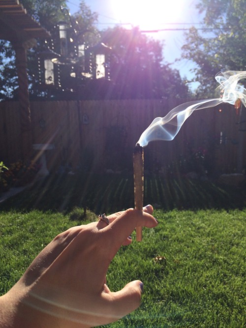 hellahiigh:  Goodbye joint to ColoRADo 