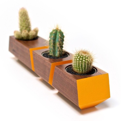 Love this colorful geometric planter box by @revolutiondh  #home #decor #homedecor #garden #plants #