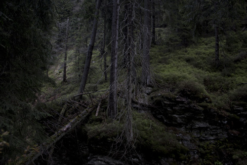 kamilanoranetik:  KNN J E S E N I K Y http://kamilanoranetik.com/ 