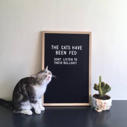 cutepetsuwu:Peach wants to know who is responsible for this sign.