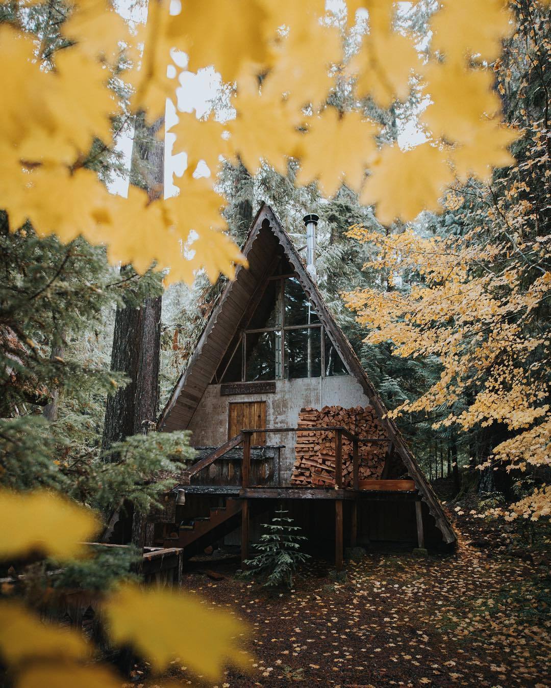 wild-cabins:Bill Kim