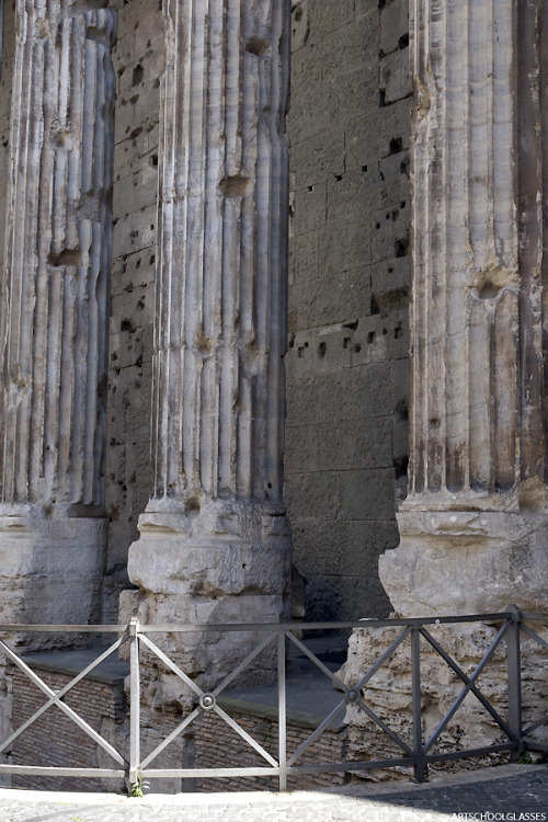 artschoolglasses:Temple of the Deified HadrianRome, Italy