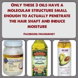 yeahsexyweaves:  Best oils for sealing moisture