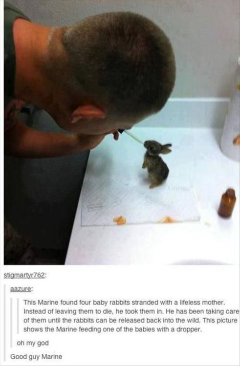 dean-bangs-cas-in-the-impala:murder-tramp666:lovelyvegansteph:naydoh:Be kind unto animals. Be kind u