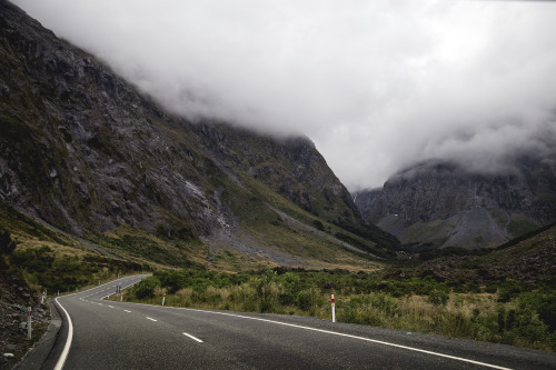 XXX piavalesca:  fiordland national park  photo