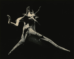 regardintemporel:  Masao Yamamoto  -  Dance