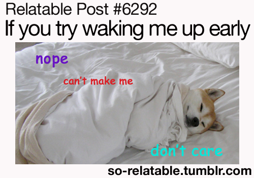 That dogie is you