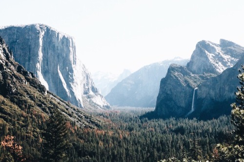 nuhstalgicsoul: Thank you to our national park services for a very happy 100 years of pure beauty an