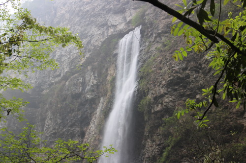 beach-smoothies:  taken in zhangjiajie, china by beach-smoothies c: