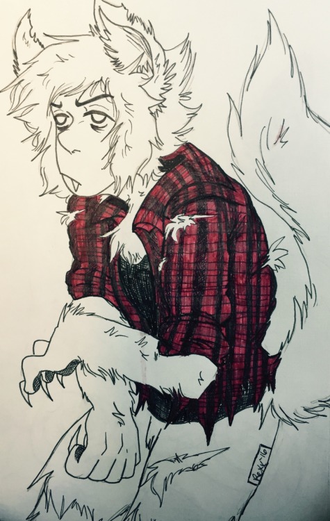 rexpinn:  Lapis Werewolfzuli 