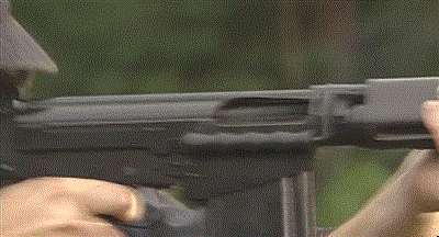 bolt-carrier-assembly:Guns of the World - FN FAL