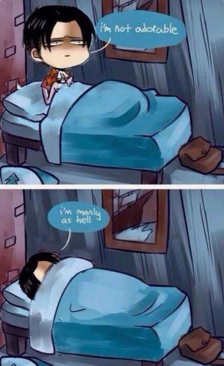 anime-memeist:“manly as hell”