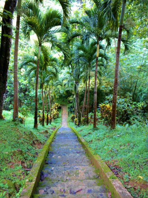 trailpace: The steps to Pirate’s Bay