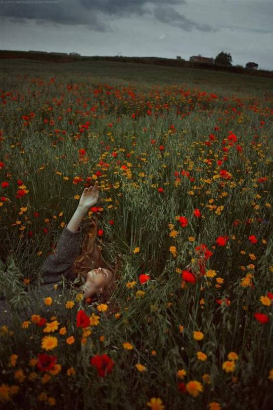 leggerezza-dell-essere:  * Se mi vedessero stare in piedi immobile, in mezzo ai miei fiori, come in questo istante, penserebbero che sto tenendo loro una lezione. Invece sono io che ascolto e loro che parlano. Lì in mezzo a loro, mi insegnano la luce.