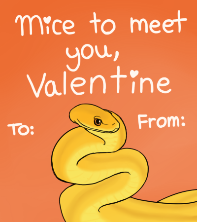 singing-supper:stormybirb:Another year another set of Valentine cards, Snek edition this time!Last y