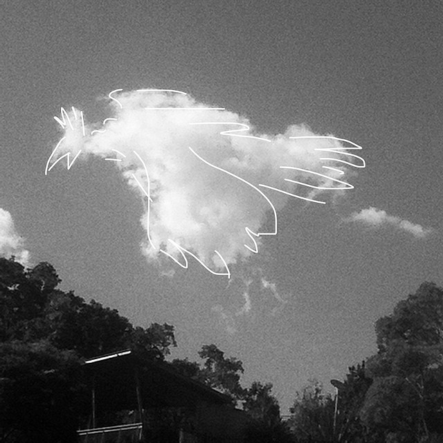 Pheonix over Roma Park #Brisbane #cloud #drawing #parklife