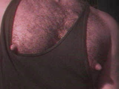 nippig:  http://nippig.tumblr.com/archive 