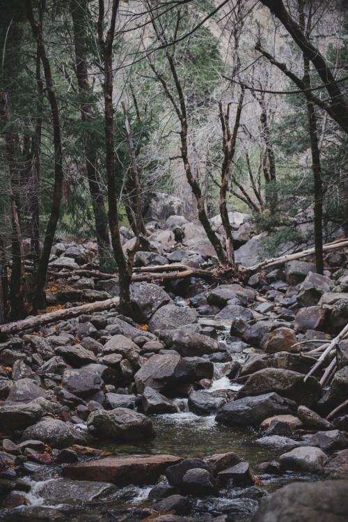 rhiannahoward: Bridal Vail Creek, Yosemite