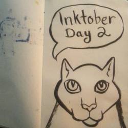 Keeping On Inktober With A Quick Kitty Doodle.  #Cats #Inktober #Meow