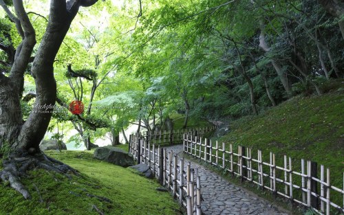 hi-technique: JAPANESE GARDEN by 七福神 on Flickr